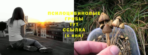 амф Абдулино