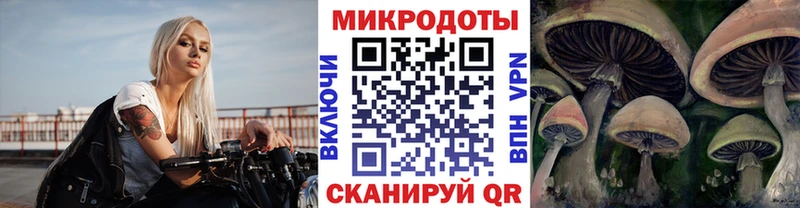 Галлюциногенные грибы Magic Shrooms  дарнет шоп  Нерчинск 